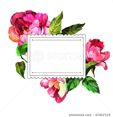 Watercolor pink peony flower. Floral botanical flower. Frame border ornament square. Watercolor pink peony flower. Floral botanical flower. Frame border ornament square. 42462529