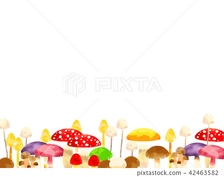 蘑菇框架 42463582