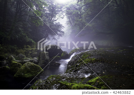 Kikuchi Gorge Kikuchi Gorge 42463882