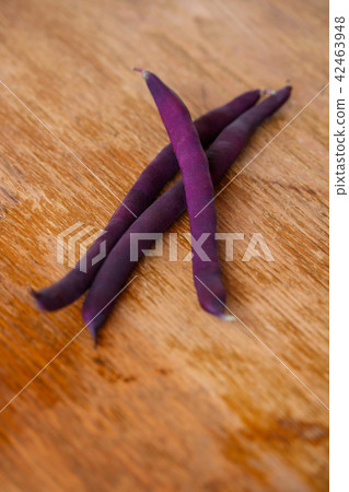 紫色大豆 紫色大豆 42463948