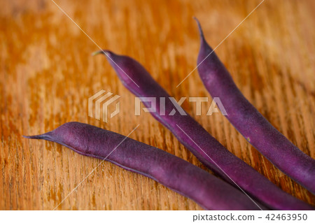 紫色大豆 紫色大豆 42463950