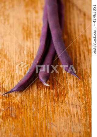 紫色大豆 42463951