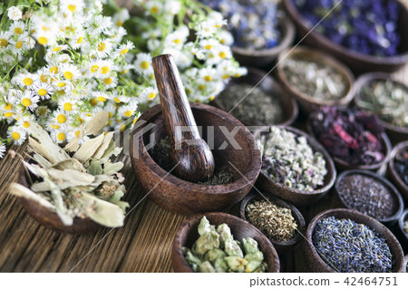 The ancient Chinese medicine 42464751