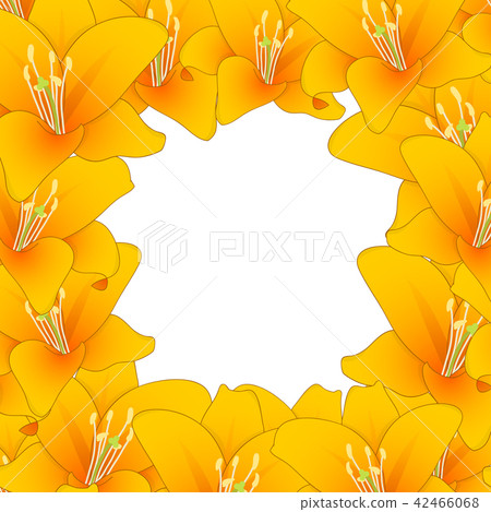 Orange Lily Border 42466068
