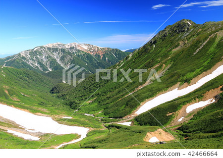 通往北阿爾卑斯山Kishidake山Yakushi-dake和Iwatsutetsuya的山頂 42466664