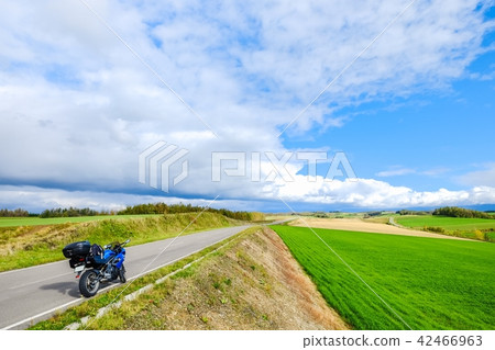 Shu Biei Shu Biei 42466963