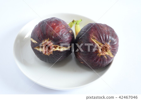 無花果·花 無花果·花 42467046
