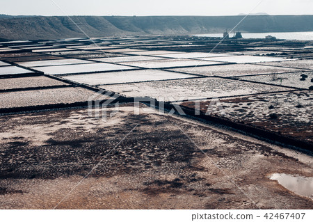Salt flats in Lanzarote of the Canary Islands 42467407