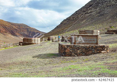 Mountain farm on slope, general view 42467415