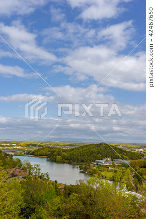 View from Iimoriyama Observatory (in Kasai Flower Center) *Photo location in comment section 42467650