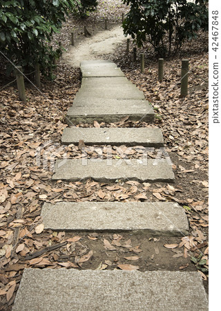  Stone steps 42467848