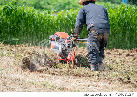 Mowing summer man 42468127