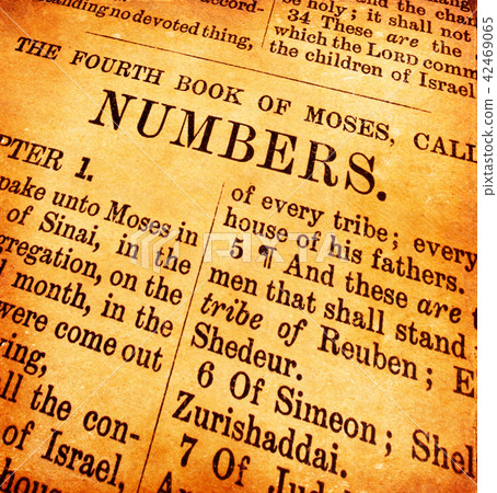 Holy Bible 42469065