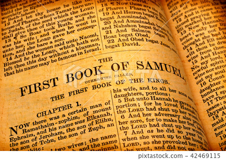 Holy Bible 42469115