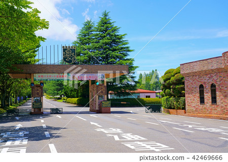 [Kyushu Natural Animal Park African Safari] 2 Minamihata, Ajimu Town, Usa City, Oita Prefecture 42469666