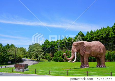 [Kyushu Natural Animal Park African Safari] 2 Minamihata, Ajimu Town, Usa City, Oita Prefecture 42469667