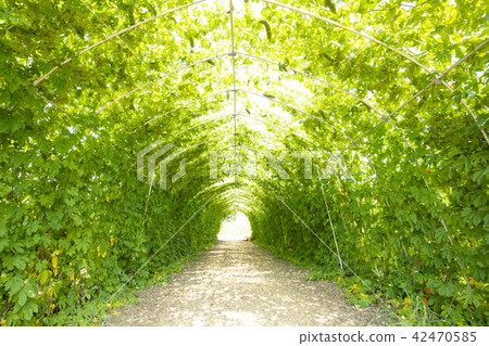  Fresh green eco image 42470585