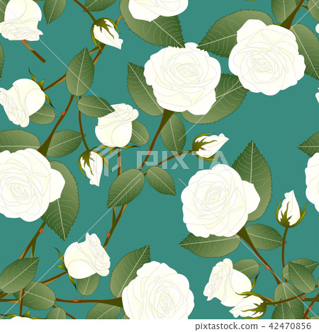 White Rose on Green Teal Background 42470856