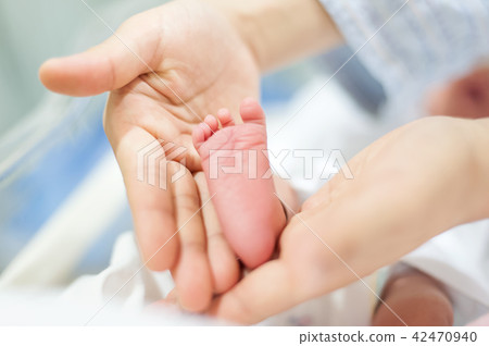 嬰兒、新生嬰兒、新生兒、腳、手、兩隻腳、兩隻手、醫院 42470940