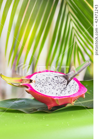 Fresh, tasty tropic, exotic dragon pitahya dragon 42471243