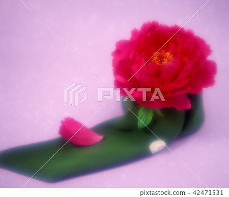 Flower · Japanese style image Flower · Japanese style image 42471531