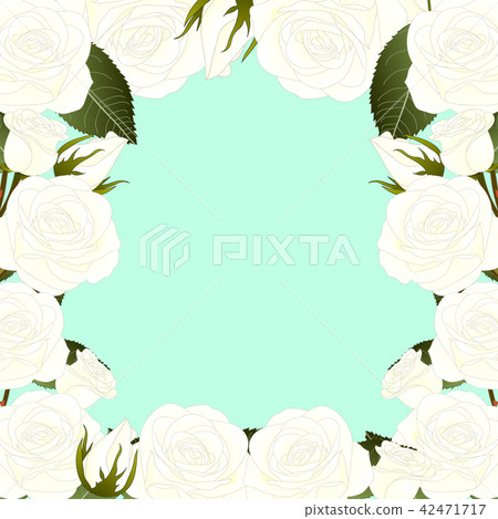 White Rose Flower Border2 42471717