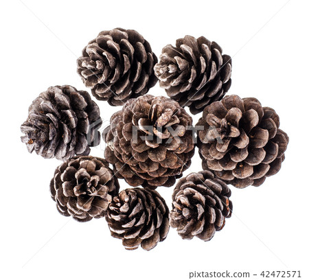 Many brown color natural dry pine cones on white background 42472571