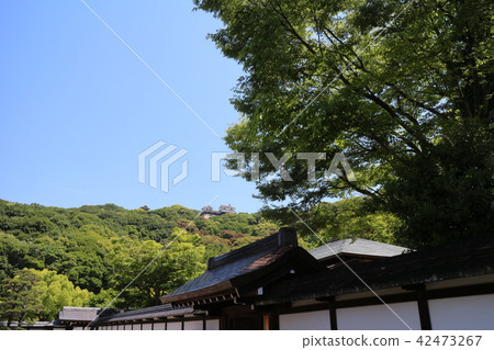 松山城堡從花園城堡塔看到的Ninomaru松山城的歷史 42473267