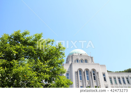 Ehime prefectural capitol Ehime prefectural capitol 42473273