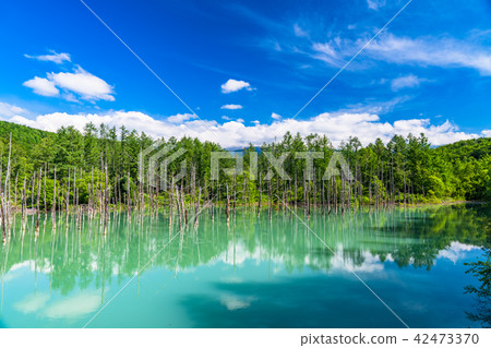"Hokkaido" Blue pond · Summer Biei "Hokkaido" Blue pond · Summer Biei 42473370