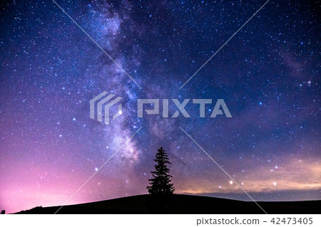 "Hokkaido" Biei · Milky Way and Christmas tree tree "Hokkaido" Biei · Milky Way and Christmas tree tree 42473405