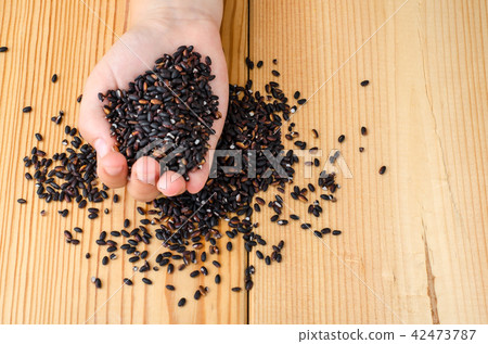 Hand holding of black riceberry on wooden background 42473787