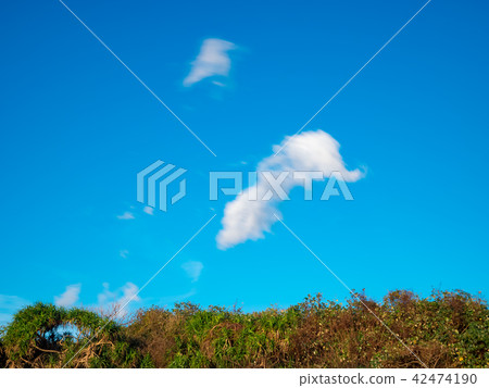 Slow Motion blur on the clouds Slow Motion blur on the clouds 42474190