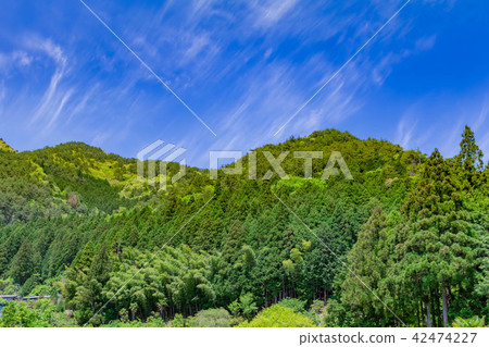 Totsugawa村莊森林風景在奈良縣 42474227