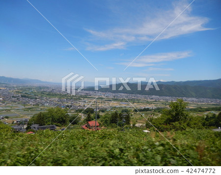 三大車窗丟棄 三大車窗丟棄 42474772