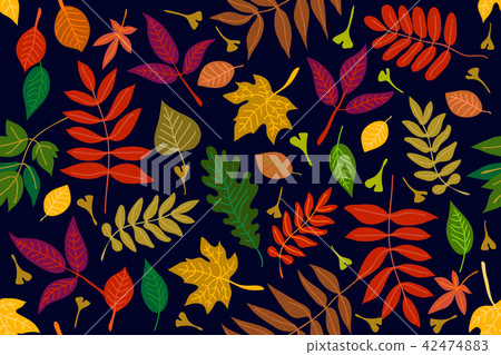 Colorful leaves on contrast background.  42474883