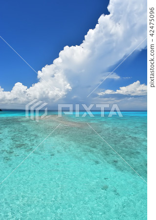  Miyakojima / summer landscape 42475096