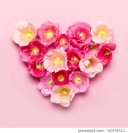 Heart of mallow flowers. Minimalism beauty 42476522