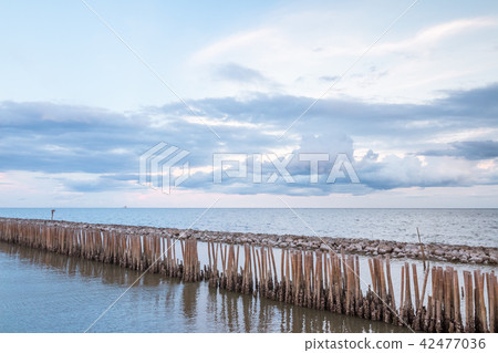Bamboo Breakwaters for coastal protection Bamboo Breakwaters for coastal protection 42477036