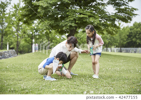 Family, park, nature, forest, kids, children, summer, vacation, picnic, vacation Family, park, nature, forest, kids, children, summer, vacation, picnic, vacation 42477155