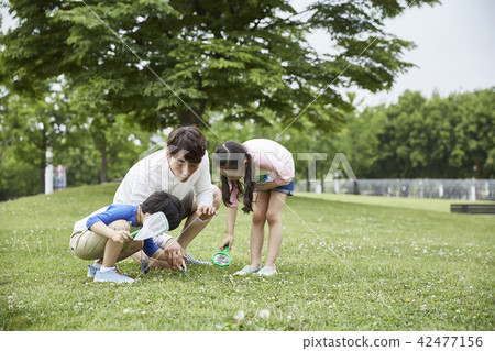 家庭，公園，自然，森林，孩子，孩子，夏天，假期，野餐，度假 42477156
