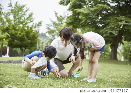 Family, park, nature, forest, kids, children, summer, vacation, picnic, vacation Family, park, nature, forest, kids, children, summer, vacation, picnic, vacation 42477157