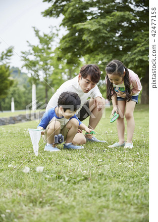 Family, park, nature, forest, kids, children, summer, vacation, picnic, vacation 42477158