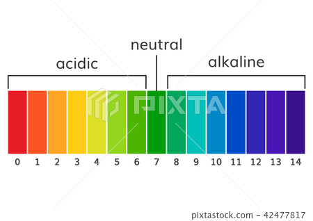 Chart ph alkaline and acidic scale vector 42477817