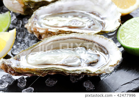 fresh oysters with ice and lemon 42477996