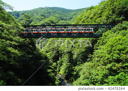 June Hakone 40 Hayakawa bridge (Iriyama bridge in Hayama) Hakone climbing train 42478164