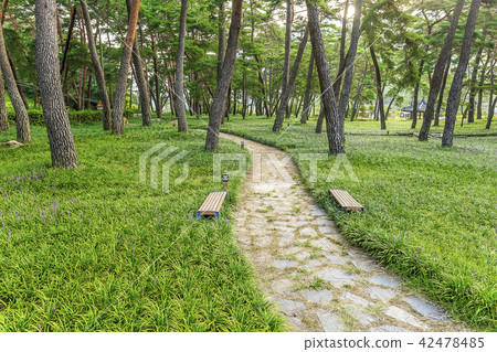 Saori Sushin 42478485