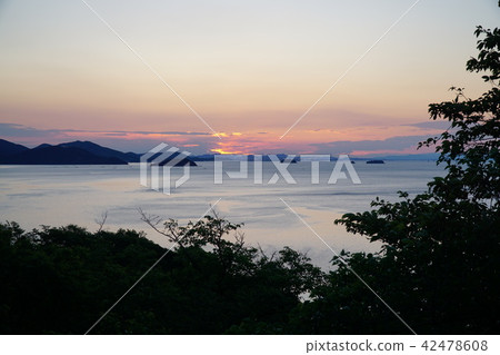 Ako Okazaki Ako Okazaki 42478608