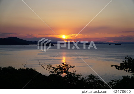 Ako Okazaki Ako Okazaki 42478660