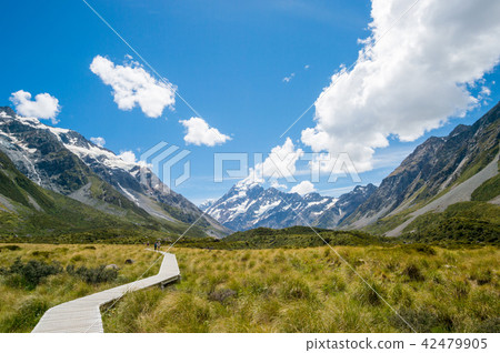 在庫克山國家公園的妓女谷卡車 42479905